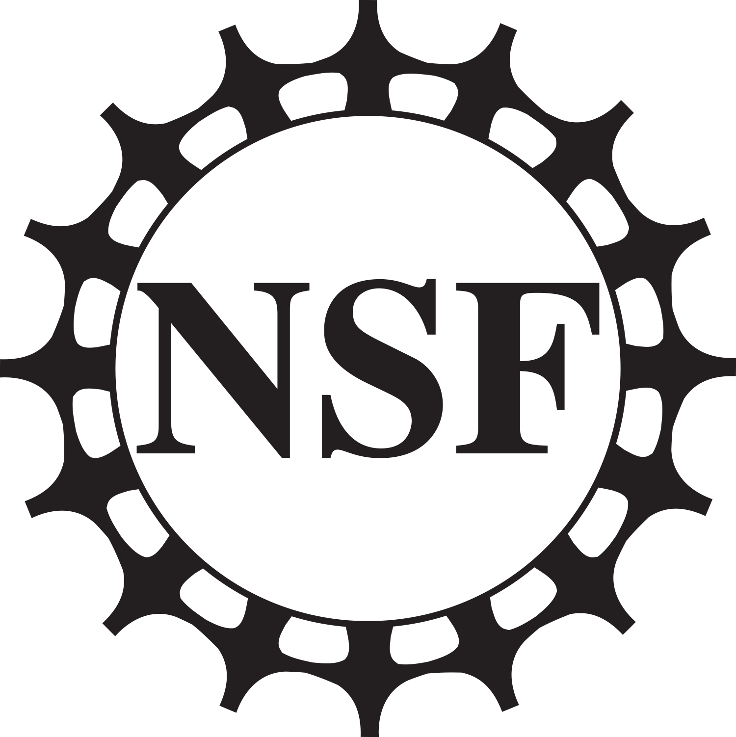 NSF logo